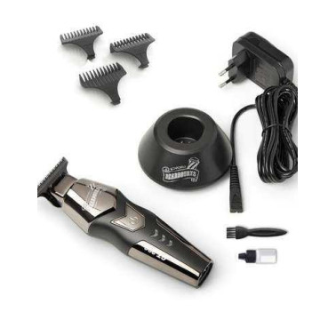 Tondeuse professionnelle GT-390 Boost Trimmer Beardburys