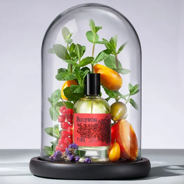 Eau de Toilette "Fire" flacon de 100ml de la marque Bullfrog