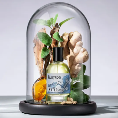 Eau de Toilette "Water" flacon de 100ml de la marque Bullfrog