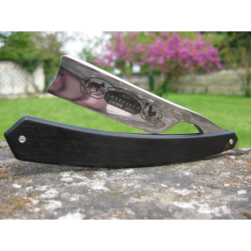 Thiers-Issard 188 nez crochu