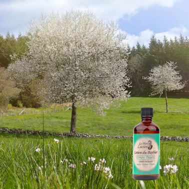 Lotion Après-rasage Le Père Lucien Cologne Fougère