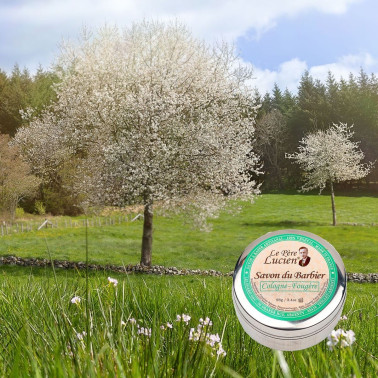 Petit Savon à barbe Père Lucien Cologne/Fougère