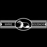 Gold Dachs