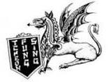 Logo Tfs